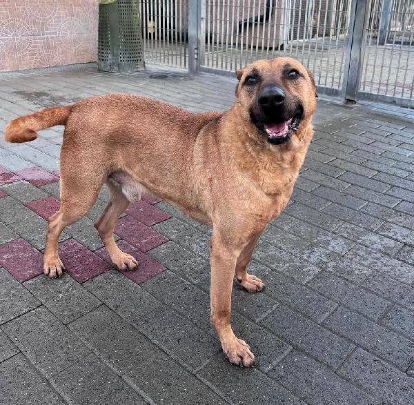 ARGO CERCA CASA Foto 2